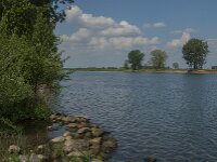 NL, Noord-Brabant, Oss, Middelwaard 10, Saxifraga-Jan van der Straaten