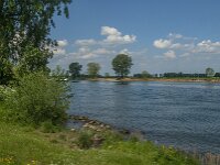 NL, Noord-Brabant, Oss, Middelwaard 14, Saxifraga-Jan van der Straaten