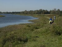 NL, Noord-Brabant, Steenbergen, Dintelse Gorzen 17, Saxifraga-Jan van der Straaten