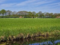 Groningen
