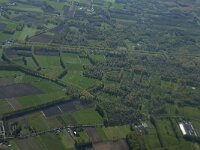 NL, Noord-Brabant, Best, Voorste Broek 1, Saxifraga-Willem van Kruijsbergen