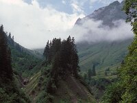 A, Vorarlberg, Sonntag, Biberacher Huette 1, Saxifraga-Jan van der Straaten