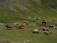 F, Ariege, Seix, Etang de Pra Matau 7, Saxifraga-Willem van Kruijsbergen