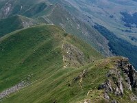 I, Pistoia, Abetone, Cervinaria 3,tif Saxifraga-Jan van der Straaten