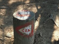 I, Pistoia, Abetone, La Verginetta 3, Saxifraga-Jan van der Straaten