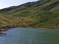 I, Pistoia, Abetone, Lago Piatto 1, Saxifraga-Jan van der Straaten