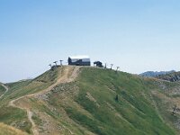 I, Pistoia, Abetone, Mt Gomito 1, Saxifraga-Jan van der Straaten