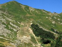 I, Pistoia, Abetone, Val di Luce 8, Saxifraga-Jan van der Straaten