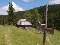 SLO, Savinjska, Mozirje, Golte 4, Saxifraga-Hans Dekker