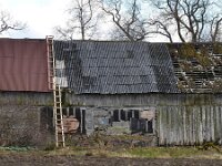 LV, Kurzeme, Talsu novads, Cirstes 1, Saxifraga-Tom Heijnen