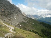 F, Isere, Gresse-en-Vercors, Balcon Est 2, Saxifraga-Willem van Kruijsbergen