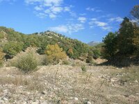 GR, Anatoliki Makedonia kai Thraki, Xanthi, Frakto 12, Saxifraga-Dirk Hilbers