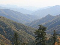 GR, Anatoliki Makedonia kai Thraki, Xanthi, Frakto 36, Saxifraga-Dirk Hilbers