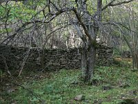 GR, Anatoliki Makedonia kai Thraki, Xanthi, Frakto 63, Saxifraga-Dirk Hilbers