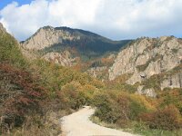 GR, Anatoliki Makedonia kai Thraki, Xanthi, Frakto 74, Saxifraga-Dirk Hilbers