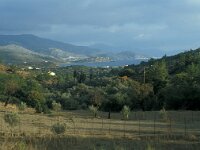 GR, Chios, Chios, Kipouries 10, Saxifraga-Jan van der Straaten