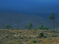 GR, Chios, Chios, Kipouries 2, Saxifraga-Jan van der Straaten