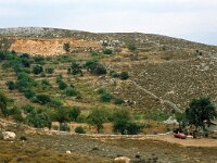 GR, Chios, Chios, Pandukios 7, Saxifraga-Jan van der Straaten