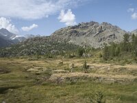 I, Sondrio, Lanzada, Rifugio Cristina 16, Saxifraga-Willem van Kruijsbergen