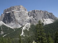 I, Sued Tirol, Canazei, Sas de Pordoi 2, Saxifraga-Willem van Kruijsbergen