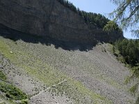 I, Sued Tirol, Sankt Ulrich, Balest 1, Saxifraga-Willem van Kruijsbergen