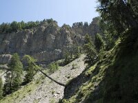 I, Sued Tirol, Sankt Ulrich, Balest 11, Saxifraga-Willem van Kruijsbergen