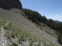 I, Sued Tirol, Sankt Ulrich, Balest 2, Saxifraga-Willem van Kruijsbergen