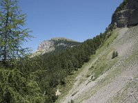 I, Sued Tirol, Sankt Ulrich, Balest 8, Saxifraga-Willem van Kruijsbergen