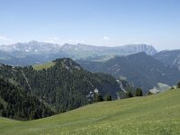 I, Sued Tirol, Sankt Ulrich, Seceda 11, Saxifraga-Willem van Kruijsbergen