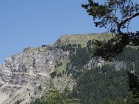 I, Sued Tirol, Sankt Ulrich, Seceda 17, Saxifraga-Willem van Kruijsbergen