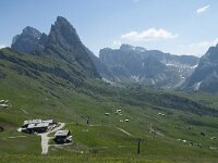 I, Sued Tirol, Sankt Ulrich, Seceda 20, Saxifraga-Annemiek Bouwman