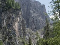 I, Sued-Tirol, Corvara, Kolfuschg, Sellagruppe 3, Saxifraga-Willem van Kruijsbergen