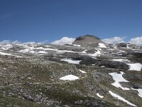 I, Sued-Tirol, Corvara, Naturpark Puez-Geisler, Col Dala Sone 4, Saxifraga-Willem van Kruijsbergen