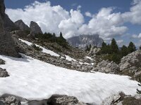 I, Sued-Tirol, Wolkenstein, Groedner Joch 22, Saxifraga-Willem van Kruijsbergen