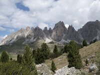 I, Sued-Tirol, Wolkenstein, Groedner Joch 25, Saxifraga-Willem van Kruijsbergen