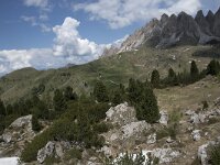 I, Sued-Tirol, Wolkenstein, Groedner Joch 27, Saxifraga-Willem van Kruijsbergen