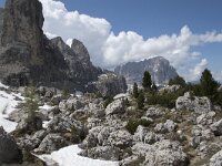 I, Sued-Tirol, Wolkenstein, Groedner Joch 30, Saxifraga-Willem van Kruijsbergen