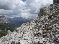 I, Sued-Tirol, Wolkenstein, Groedner Joch 43, Saxifraga-Willem van Kruijsbergen