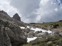 I, Sued-Tirol, Wolkenstein, Groedner Joch 50, Saxifraga-Willem van Kruijsbergen
