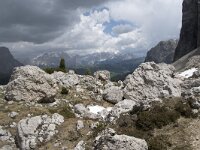 I, Sued-Tirol, Wolkenstein, Groedner Joch 51, Saxifraga-Willem van Kruijsbergen