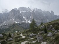 I, Sued-Tirol, Wolkenstein, Groedner Joch 67, Saxifraga-Willem van Kruijsbergen