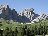 I, Sued-Tirol, Wolkenstein, Groedner Joch 70, Saxifraga-Willem van Kruijsbergen