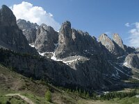 I, Sued-Tirol, Wolkenstein, Groedner Joch 73, Saxifraga-Annemiek Bouwman