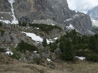 I, Sued-Tirol, Wolkenstein, Groedner Joch 83, Saxifraga-Annemiek Bouwman