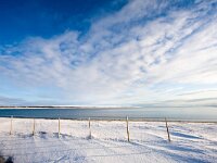 N, Finnmark, Vadso, Ekkeroy 2, Saxifraga-Bart Vastenhouw
