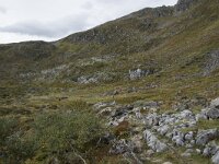 N, More og Romsdal, Fraena, Trollkyrkja 38, Saxifraga-Willem van Kruijsbergen