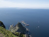 N, Nordland, Andoy, Matind 12, Saxifraga-Willem van Kruijsbergen