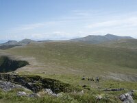 N, Nordland, Andoy, Matind 9, Saxifraga-Willem van Kruijsbergen