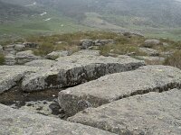 E, Avila, Hoyos del Espino 12, Saxifraga-Willem van Kruijsbergen