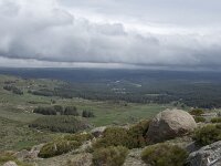 E, Avila, Hoyos del Espino 3, Saxifraga-Willem van Kruijsbergen